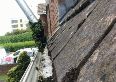 Gutter Cleaning Ireland