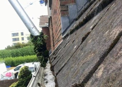 Gutter Cleaning Ireland