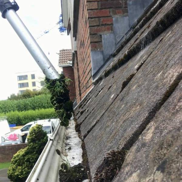 Gutter Cleaning Ireland